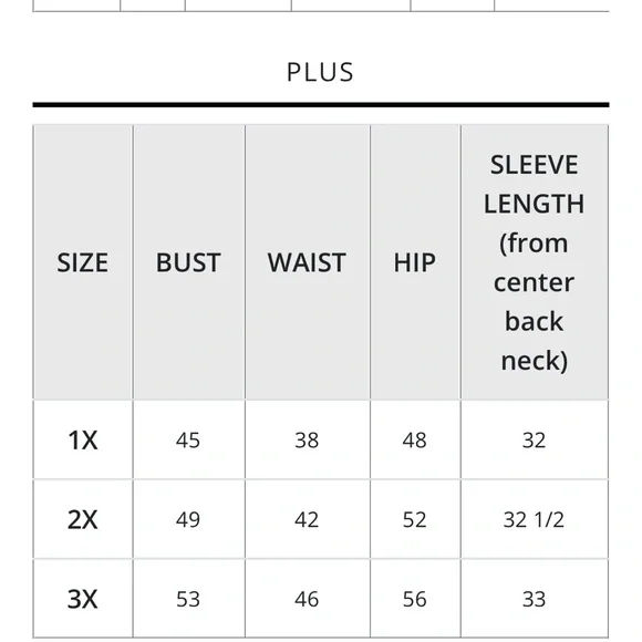 NWT Leo and Nicole Woven Embroidered Scalloped Lace Trim Blouse Size 2X - Picture 6 of 9